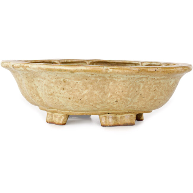 Mokko beige bonsai pot by Echizen - 170 x 150 x 50 mm