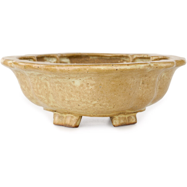 Maceta para bonsái Mokko beige de Echizen - 170 x 150 x 50 mm