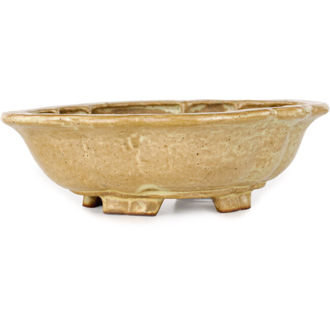 Pot à bonsaï Mokko beige par Echizen - 170 x 150 x 50 mm