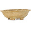 Mokko beige bonsai pot by Echizen - 170 x 150 x 50 mm