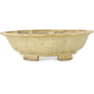  Echizen Hosui 180 mm  beige bonsai pot by Echizen, Japan