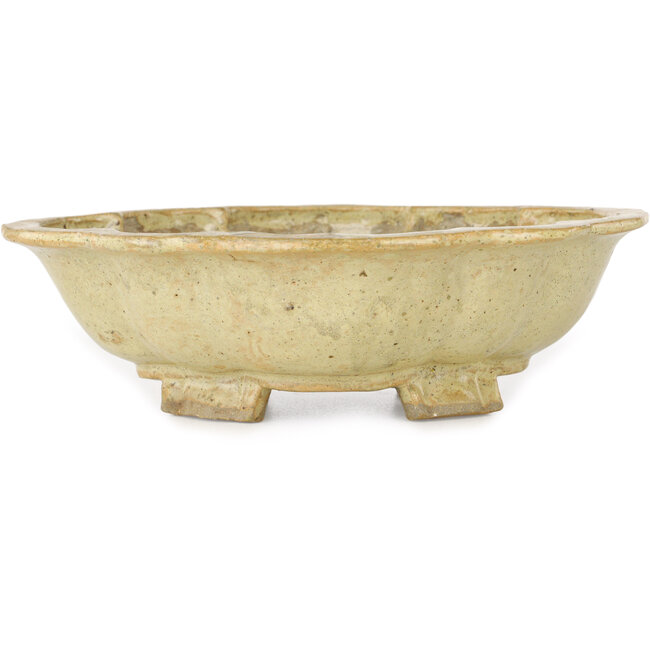 Mokko beige bonsai pot by Echizen - 180 x 160 x 50 mm