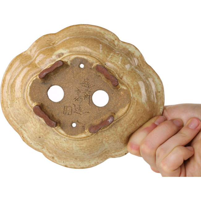 Vaso bonsai Mokko beige di Echizen - 170 x 150 x 50 mm