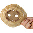 Mokko beige bonsaipot van Echizen - 170 x 150 x 50 mm