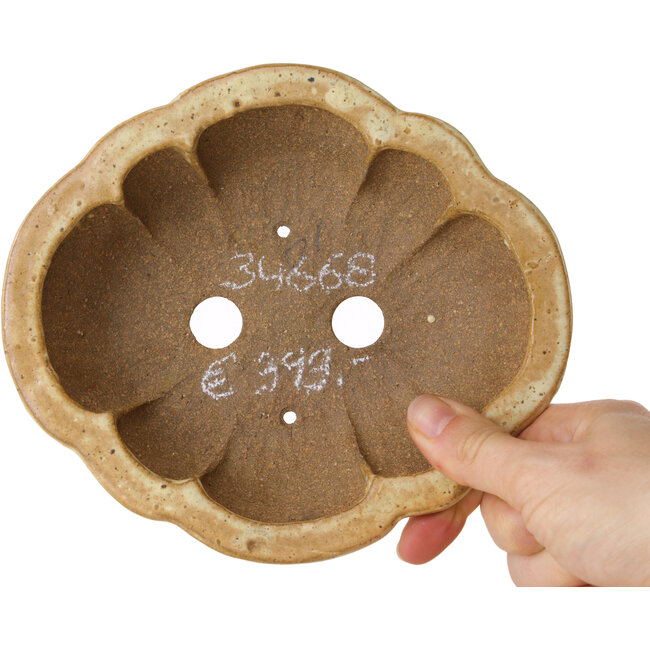 Pot à bonsaï Mokko beige par Echizen - 170 x 150 x 50 mm