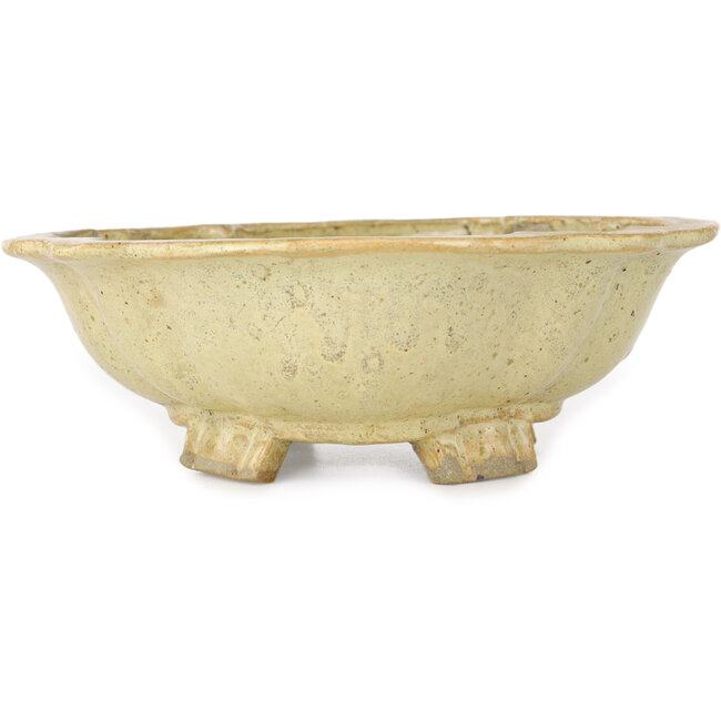 Mokko beige bonsai pot by Echizen - 180 x 160 x 50 mm