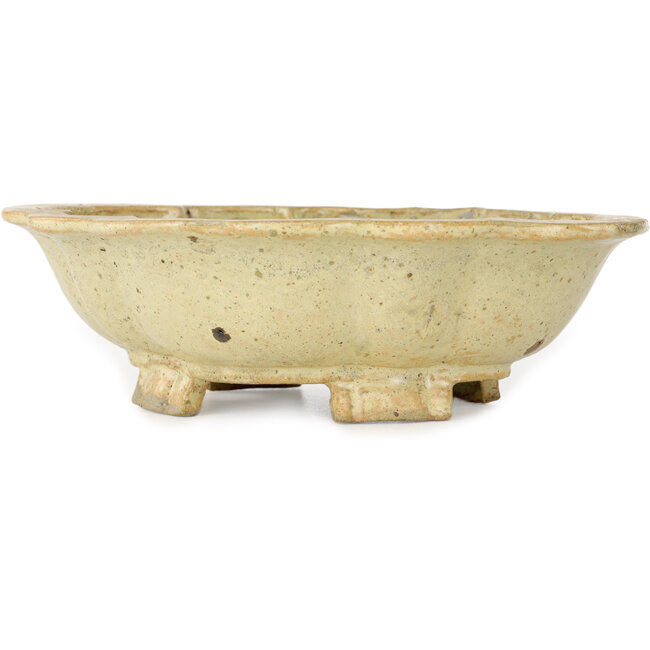 Maceta para bonsái Mokko beige de Echizen - 180 x 160 x 50 mm