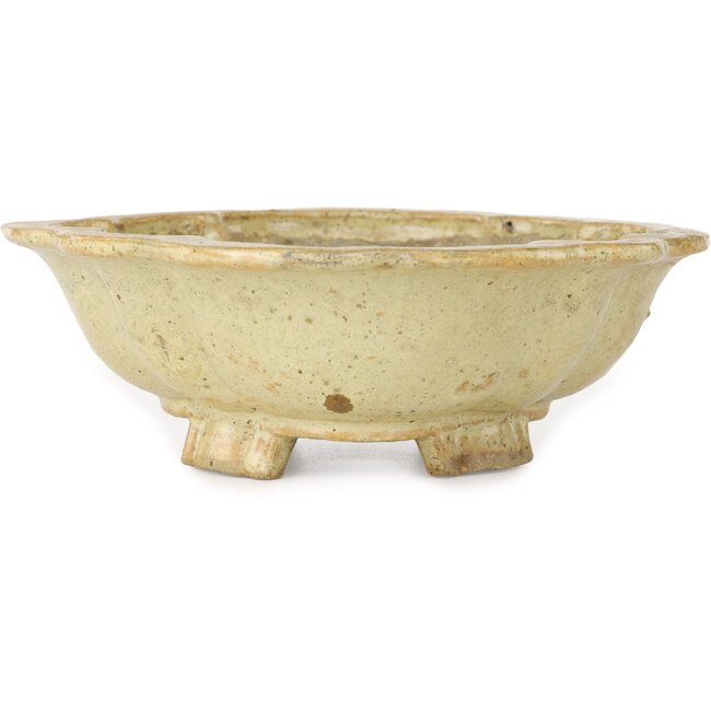 Mokko beige bonsai pot by Echizen - 180 x 160 x 50 mm