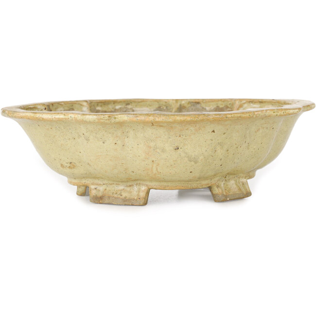 Mokko beige bonsai pot by Echizen - 180 x 160 x 50 mm