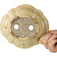Mokko beige bonsaipot van Echizen - 180 x 160 x 50 mm