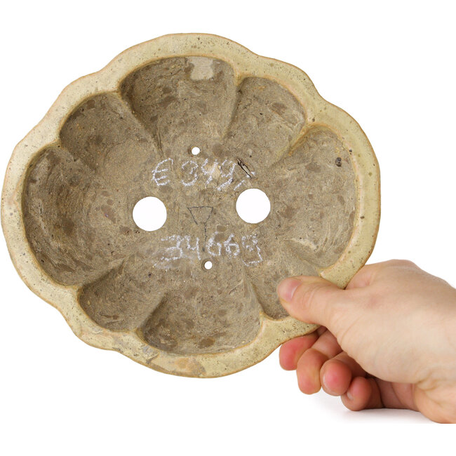 Mokko beige bonsaipot van Echizen - 180 x 160 x 50 mm