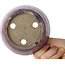 Round purple bonsai pot by Echizen - 125 x 125 x 55 mm