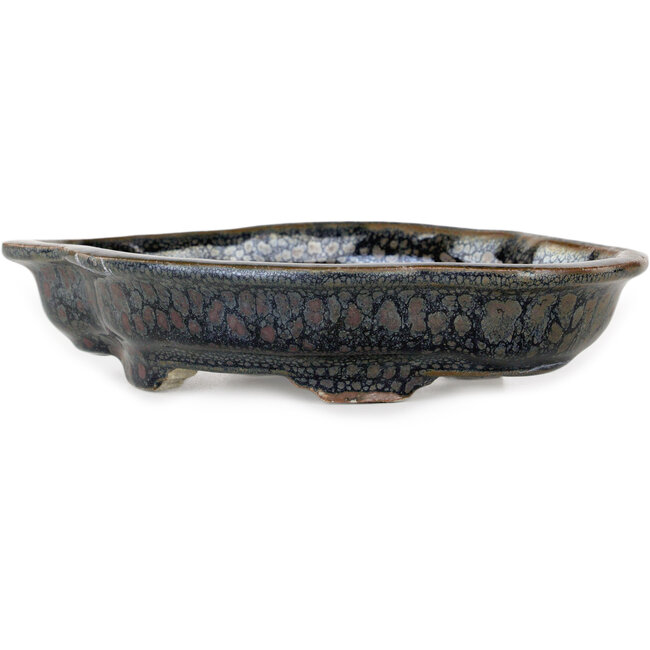 Maceta para bonsái marrón Mokko de Takao Kouyo - 190 x 140 x 40 mm