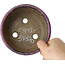Round purple bonsai pot by Echizen - 125 x 125 x 55 mm