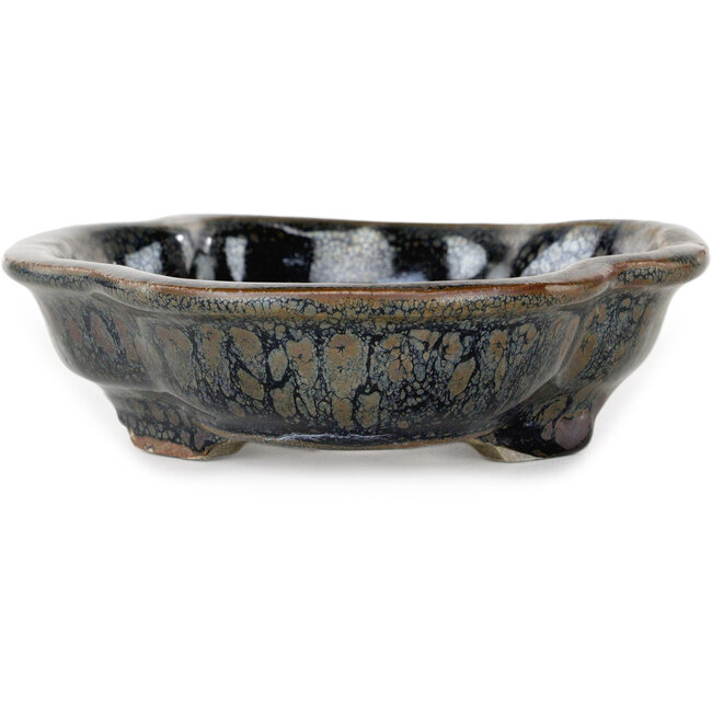 Vaso bonsai Mokko marrone di Takao Kouyo - 190 x 140 x 40 mm