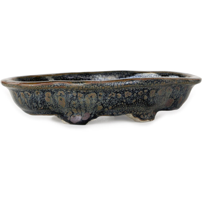 Mokko brown bonsai pot by Takao Kouyo - 190 x 140 x 40 mm