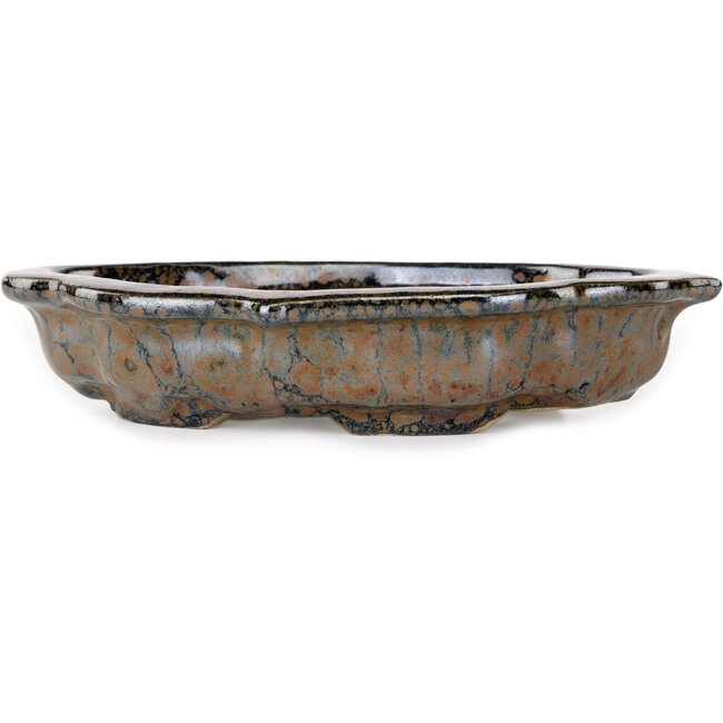 Maceta para bonsái marrón Mokko de Takao Kouyo - 195 x 145 x 35 mm