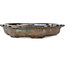 Mokko brown bonsai pot by Takao Kouyo - 195 x 145 x 35 mm