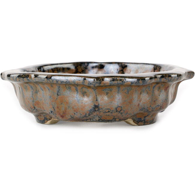 Vaso bonsai Mokko marrone di Takao Kouyo - 195 x 145 x 35 mm