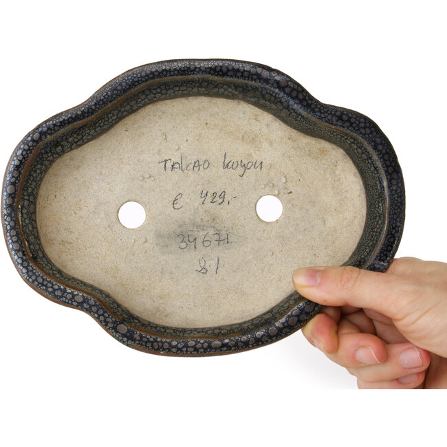 Mokko brown bonsai pot by Takao Kouyo - 190 x 140 x 40 mm