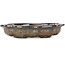 Vaso bonsai Mokko marrone di Takao Kouyo - 195 x 145 x 35 mm