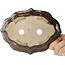 Maceta para bonsái marrón Mokko de Takao Kouyo - 195 x 145 x 35 mm