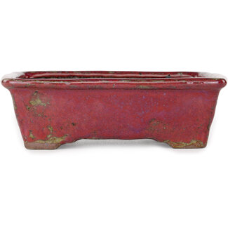  Bunzan 160 mm  purple bonsai pot by Bunzan, Tokoname, Japan