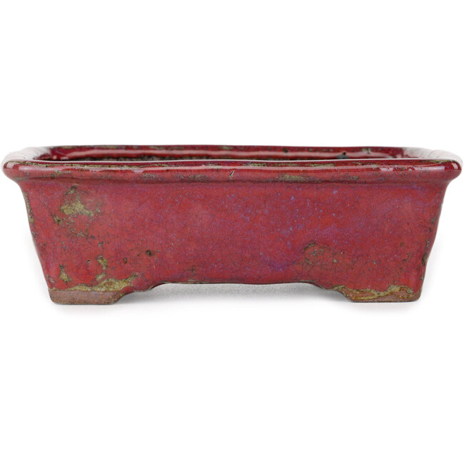 Rectangular purple bonsai pot by Bunzan - 160 x 140 x 50 mm