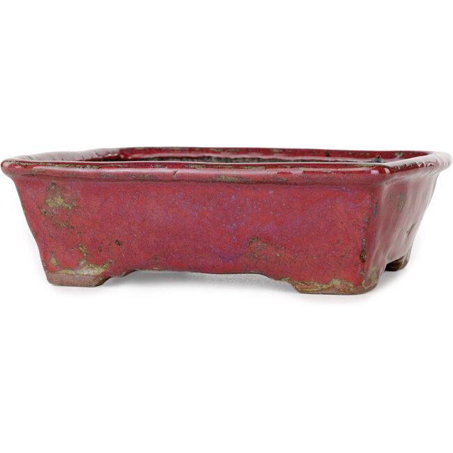Pot à bonsaï rectangulaire violet de Bunzan - 160 x 140 x 50 mm