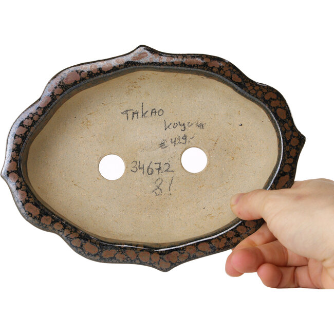 Maceta para bonsái marrón Mokko de Takao Kouyo - 195 x 145 x 35 mm