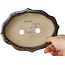 Maceta para bonsái marrón Mokko de Takao Kouyo - 195 x 145 x 35 mm