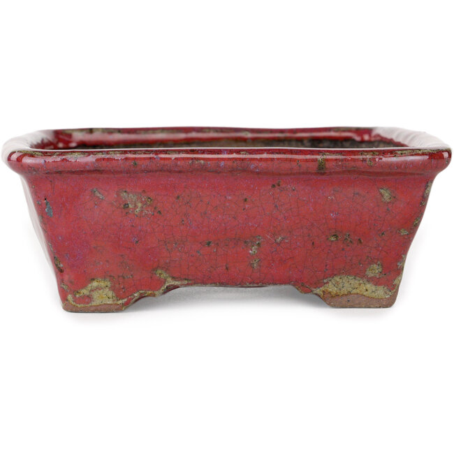 Rechthoekige paarse bonsaipot van Bunzan - 160 x 140 x 50 mm