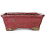 Maceta rectangular morada para bonsái de Bunzan - 160 x 140 x 50 mm
