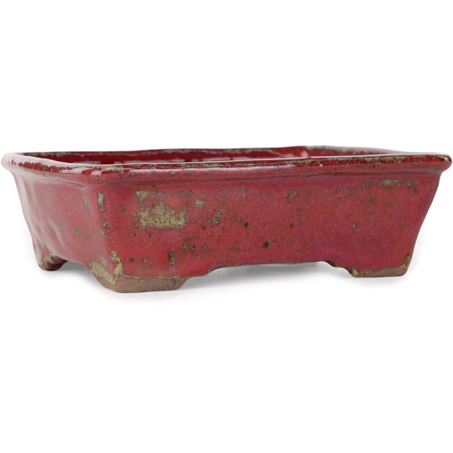 Pot à bonsaï rectangulaire violet de Bunzan - 160 x 140 x 50 mm