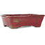 Maceta rectangular morada para bonsái de Bunzan - 160 x 140 x 50 mm