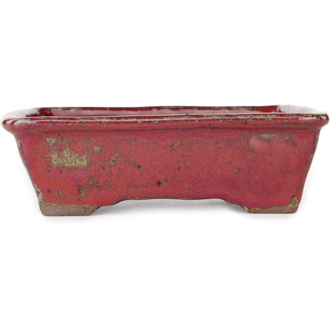 Maceta rectangular morada para bonsái de Bunzan - 160 x 140 x 50 mm