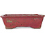 Maceta rectangular morada para bonsái de Bunzan - 160 x 140 x 50 mm
