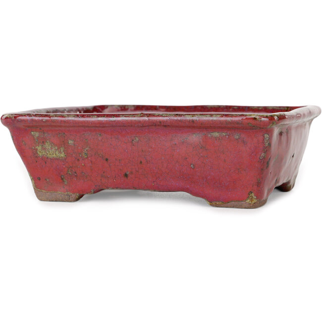 Pot à bonsaï rectangulaire violet de Bunzan - 160 x 140 x 50 mm