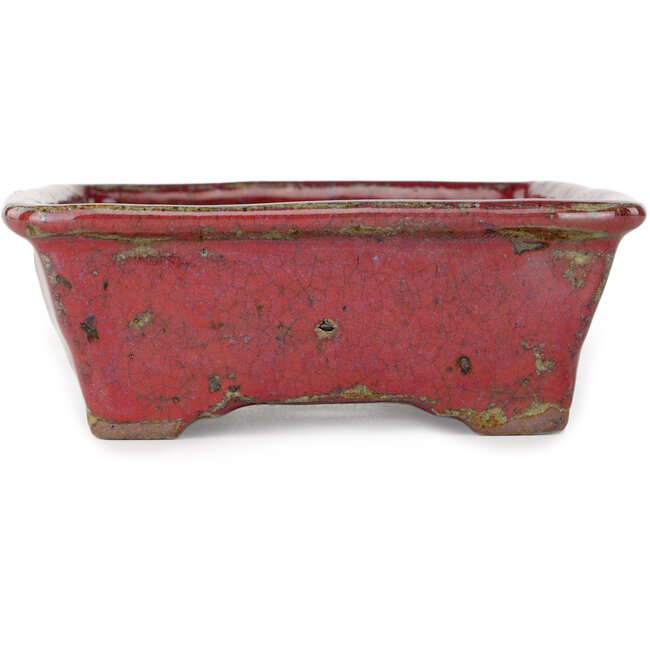 Pot à bonsaï rectangulaire violet de Bunzan - 160 x 140 x 50 mm