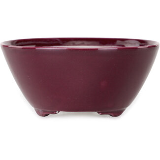 Seifu 140 mm  purple bonsai pot by Seifu, Japan