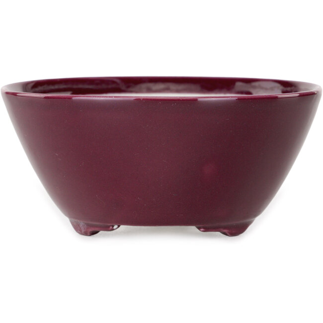 Round purple bonsai pot by Seifu - 140 x 140 x 65 mm