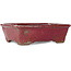 Rectangular purple bonsai pot by Bunzan - 160 x 140 x 50 mm