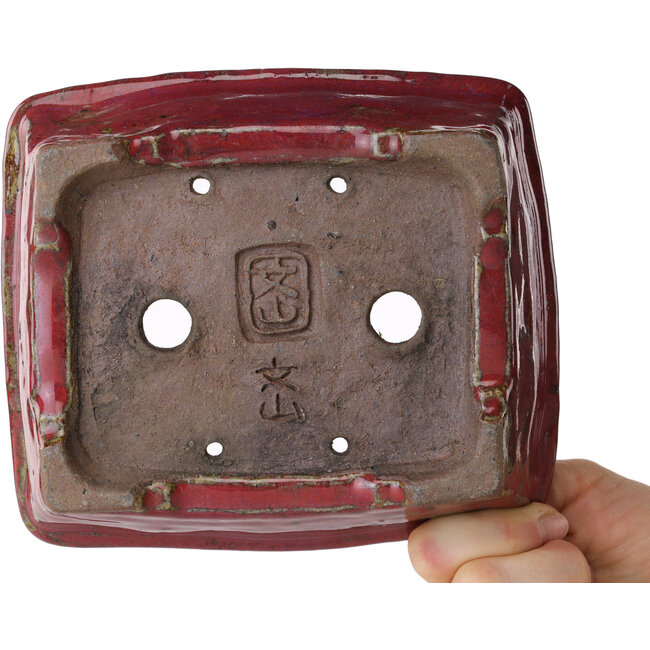 Maceta rectangular morada para bonsái de Bunzan - 160 x 140 x 50 mm