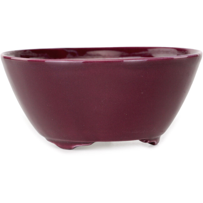 Ronde paarse bonsaipot van Seifu - 140 x 140 x 65 mm