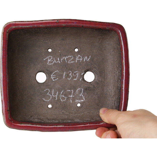 Rechthoekige paarse bonsaipot van Bunzan - 160 x 140 x 50 mm