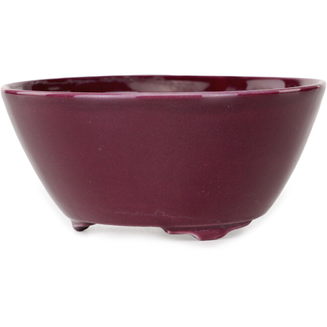 Pot à bonsaï rond violet de Seifu - 140 x 140 x 65 mm