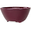 Round purple bonsai pot by Seifu - 140 x 140 x 65 mm