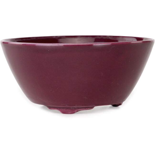 Maceta redonda morada para bonsái de Seifu - 140 x 140 x 65 mm