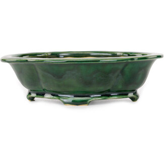 Seizan Pot à bonsaï vert de 180 mm par Seizan, Japon