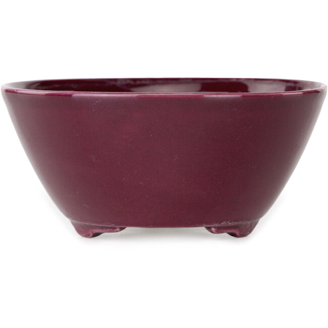 Maceta redonda morada para bonsái de Seifu - 140 x 140 x 65 mm